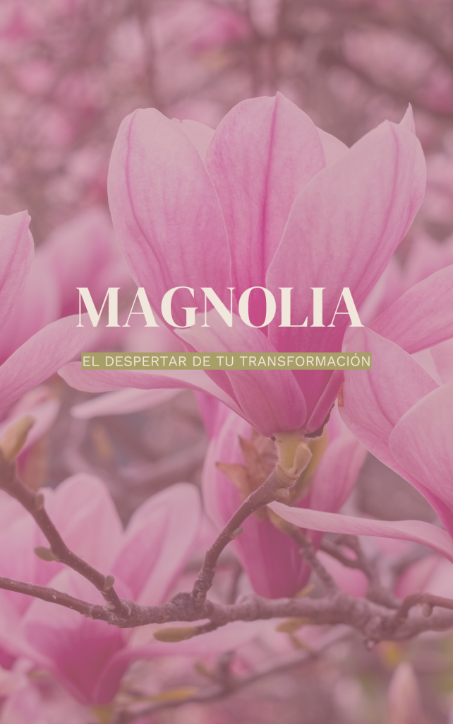 Video de Youtube Outro Final Agradecimiento Bonita Acuarela Rosa Libro digital